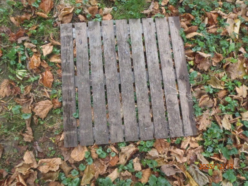 houten tegels voor terras